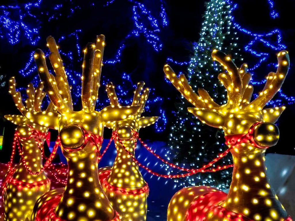 Christmas light display of reindeer.